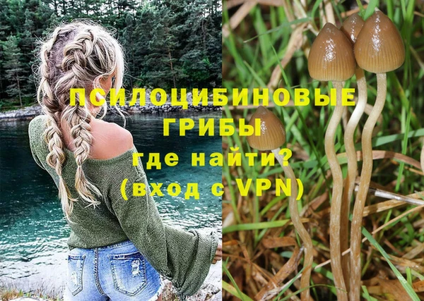 экстази Алзамай