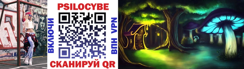 Галлюциногенные грибы Psilocybine cubensis  Гуково 