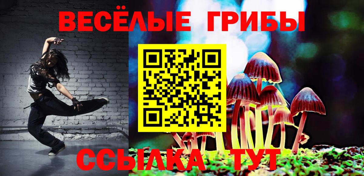 Псилоцибиновые грибы GOLDEN TEACHER  Вход с VPN  Гуково 