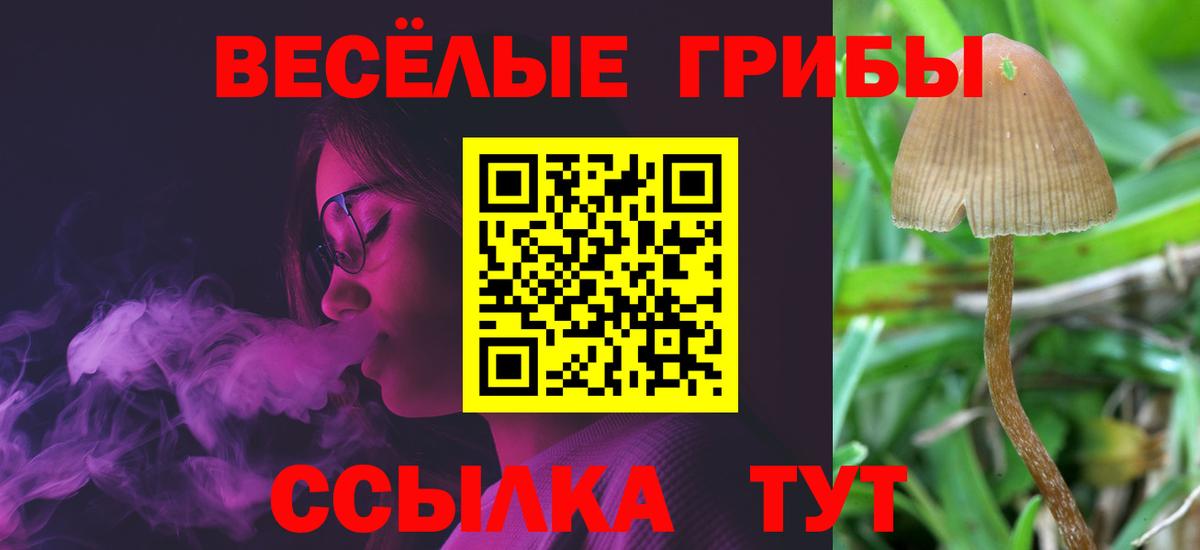Галлюциногенные грибы мухоморы Гуково